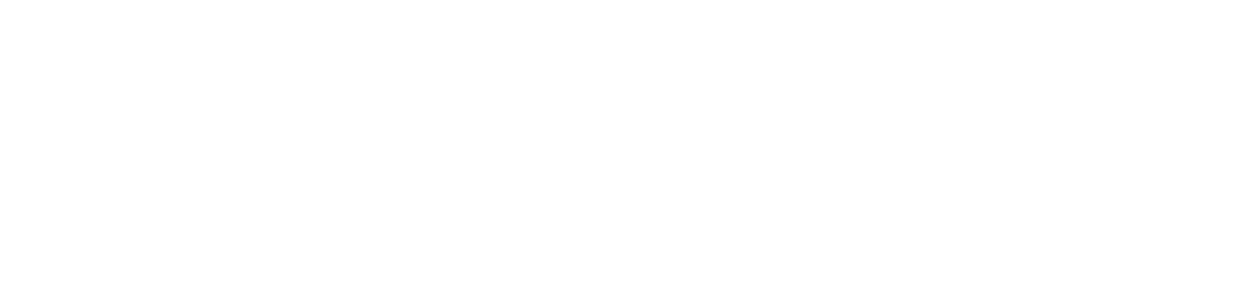 Logo NC Health Travels footer